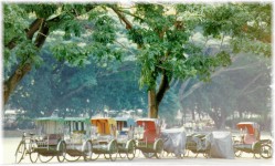 Pedicabs in the Colonial District